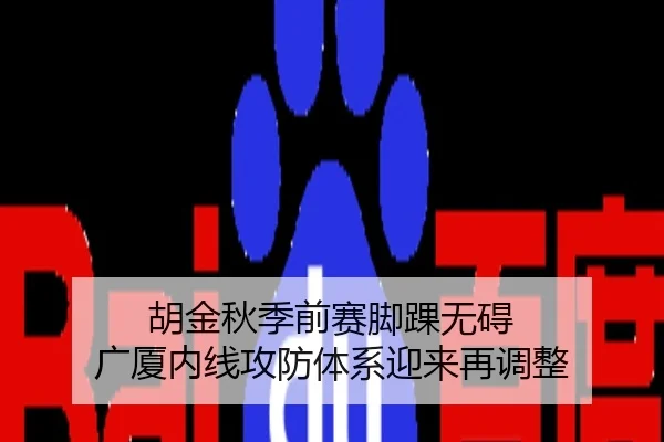 胡金秋季前赛脚踝无碍 广厦内线攻防体系迎来再调整