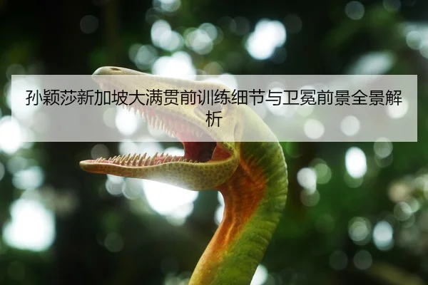孙颖莎新加坡大满贯前训练细节与卫冕前景全景解析